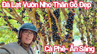 Dalat's Vineyard, Coffee and Breakfast Like the Locals