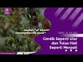 Cerdik Seperti Ular & Tulus Hati Seperti Merpati