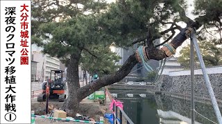 【特番！】大分市城址公園・深夜のクロマツ移植大作戦（1）「傾きの大木を公園東側に」