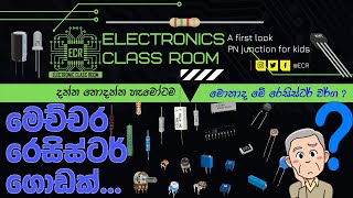 Different Types of Resistor | Basics Understanding of Different Types of Resistors in Sinhala