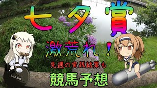 激荒れ！【2022年七夕賞ゆっくり競馬予想】過去10年30頭の過去傾向・血統・騎手・脚質と有力ウマのゆっくり解説です。先週の実践結果も。