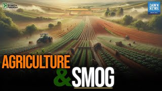 Agriculture And Smog | Is Agri the Cause or Casualty? | Dawn News English