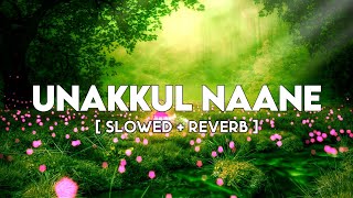 Unakkul Naane-Pritt | Slowed and Reverb | Tamil Slowed Reverb Songs | Reverbs Feelings