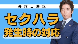 セクハラが発生した時の対応方法を解説