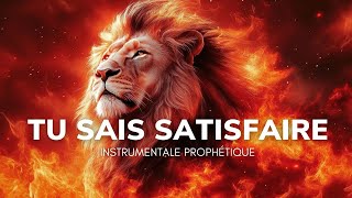 TU SAIS SATISFAIRE (UN CŒUR QUI TE CHERCHE) - Instrumental Prophétique