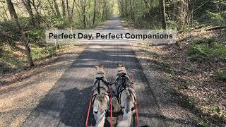 Hilda and Herman: Perfect Day, Perfect Companions