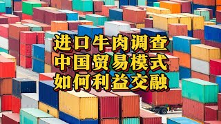 进口牛肉保障措施调查，中国贸易模式该如何调整？（2024年12月特辑）