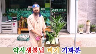 [유교약사생불사 87강] 약사생불님 비기 기화분