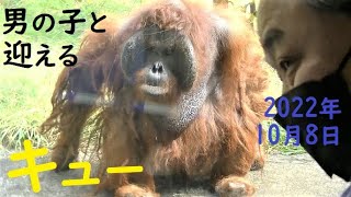 キューさん（53歳）がオヤジにガラス前に来いと合図して来た　オランウータン　多摩動物公園　2022年10月8日