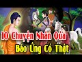 10 Chuyện Nhân Quả Báo Ứng Có Thật Khiến Hàng Triệu Người Nghe Phải Tỉnh Ngộ - Truyện Đêm Khuya