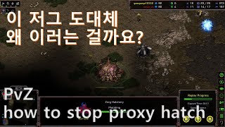 [Eng sub] [PvZ] When zerg does proxy hatch in my main base? Thank you for giving me a win bro.