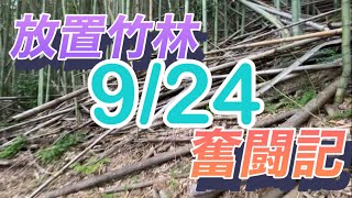 放置竹林奮闘記【サラリーマンが竹を切る日々】2023/09/24