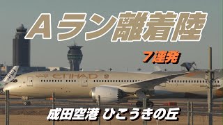 【4K】成田空港 ひこうきの丘 Aランに着陸７連発