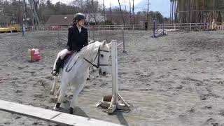 2023-03-21 全日本看護学生馬術大会 ジムカーナ 予選 下島選手とキース