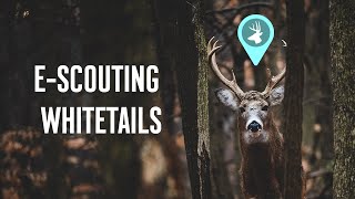 How To E-Scout For Whitetails: Key Terrain Features