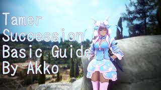 Tamer Succession Basic Guide Combo