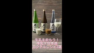 【日本酒飲み方アレンジ】酒蔵おすすめ！ 牛乳割りの作り方 #shorts #日本酒 #牛乳