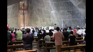 主の変容　主日　平和旬間（8月6日～8月15日）