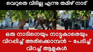 ഇതൊക്കെ കണ്ടിട്ടും ചില ആനപ്രേമികൾക്ക് അരികൊമ്പനോട് സഹതാപം - പൂണ്ട് വിളയാടി അരിക്കൊമ്പൻ