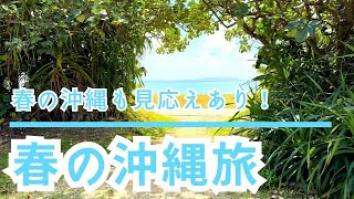 春の沖縄本島へ！快晴続きの沖縄2泊3日【2023年 春 沖縄旅行】