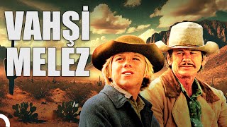 Vahşi Melez | Charles Bronson Türkçe Dublaj Kovboy Filmi Full İzle