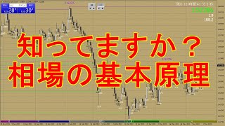 【FX初心者必見】意外と知らない？相場の基本原理について