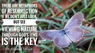 Metaphors of Resurrection | Happy Easter @COJ.Island