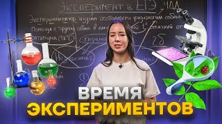 Задание №22-23 ЕГЭ Биология за 5 минут