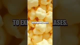 Popcorn Science: Explosive Insights at Home