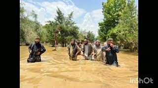 وحشت سیلاب دامنگیر اداره ریاست شاروالی پلخمری شد ..