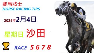 「賽馬貼士」🐴  2023 年 2 月 4 日 沙田🐴    香港賽馬貼士  HONG KONG HORSE RACING TIPS  🐴 RACE  5  6  7  8