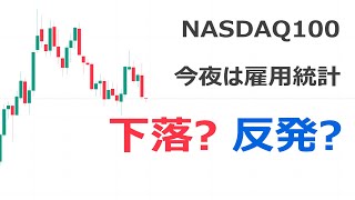 ナスダック100分析・値動き予想【今夜下落？反発？私の考えを話します。】