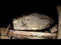 exploring a multileveled mine at castlemaine victoria part 1 of 2