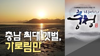 서해 바다가 만든 특별한 선물 가로림만 대전MBC 다큐멘터리 [다큐충청 제1부:생명의 바다, 서해](2013)] 중에서