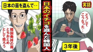 【実話】日本のイチゴを盗んだアホ韓国農家の末路‥日本の苗を盗んで「とちおとめ」という名前で販売？！‥一時成功するも、3年後に待ち受ける末路とは