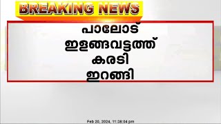 തിരുവനന്തപുരം പാലോട് ഇളവട്ടത്ത് കരടി ഇറങ്ങി | Bear