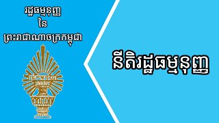 នីតិរដ្ឋធម្មនុញ្ញ #១