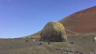 3 Volcanoes Geo Tour - Guided Walks in Lanzarote