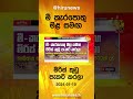 මී කැරපොතු මළ සමඟ මිරිස් කුඩු පැකට් කරලා hiru news