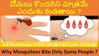 Why Mosquitoes Bite Only Some People || దోమలు కొందరిని మాత్రమే ఎందుకు కుడతాయి ?