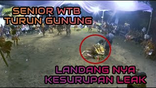 PARA SENIOR WTB TURUN GUNUNG!?! || FULL BADONG WAHYU TURONGGO BUDOYO