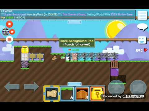Growtopia - (Dirt to P Wings) #4 100+ Rock Background seeds Growtopia - (Dirt to P Wings) #4 100+ Rock Background seeds