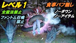 【FF15】レベル1VSメリュジーヌ（食事バフ無し・ノーダウンノーアイテム＆全魔法＆ファントム召喚禁止！）