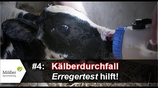 Wichtig bei Kälberdurchfall: Wie du den richtigen Erreger ermittelst! #4 von 9  mit Alpuro Breeding