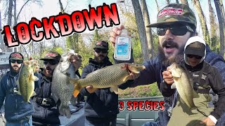 SBFISHINGTV x WATERWARRIORFISHING || COVID LOCKDOWN FISHING! || POTOMAC RIVER