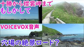 十勝の帯広から襟裳岬までの車窓風景は穴場の絶景　バスに乗って日帰り旅行　黄金道路の海岸線や百人浜は穴場