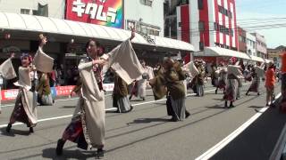 浪花乱風　～2014高知よさこい祭り本番2日目　升形