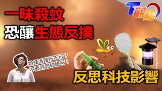 給條活路行不行？不要趕盡殺絕啊！一昧殺蚊恐釀生態反撲 反思科技影響 T觀點 20230520 (4/4)