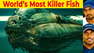 ஒருநிமிடம் நடுநடுங்கவைக்கும் கொடூரமான KILLER மீன்கள்  | 10 Most Dangerous Fish In The World | MM