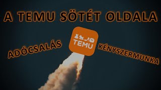 Hogyan működik a TEMU és mitől ennyire sikeres?